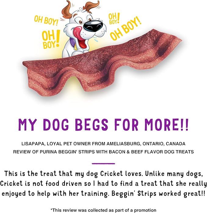 Purina Beggin' Strips with Real Meat Dog Treats with Bacon and Beef Flavors - 26 oz. Pouches,(Pack of 4)