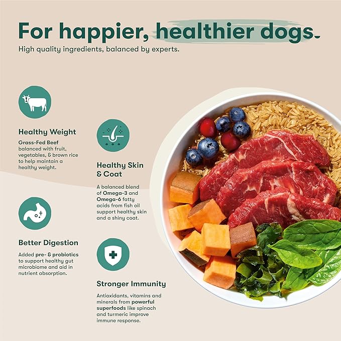 Jinx Premium Dry Dog Food, for All Lifestages - Real Beef, Brown Rice & Sweet Potato Kibble with Superfoods for Immune Support & Probiotics for Digestive Support - No Fillers - 30lb