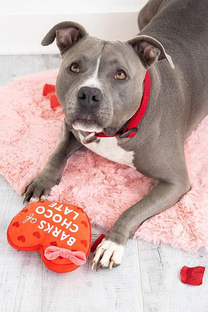 Pearhead Valentine’s Day Plush Dog Toy – Barks of Chocolate Box Squeaky & Crinkle Stuffed Dog Toy, Interactive for Dogs
