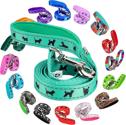 EcoBark Dog Leash - Soft & Reflective Comfort Training Leashes with Padded Handle - Safe, Strong, & Durable for Small, Medium or Large Dogs (Turquoise)