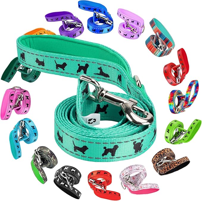 EcoBark Dog Leash - Soft & Reflective Training Leashes with Padded Handle - Soft, Strong, & Durable for Small, Medium or Large Dogs (Turquoise)