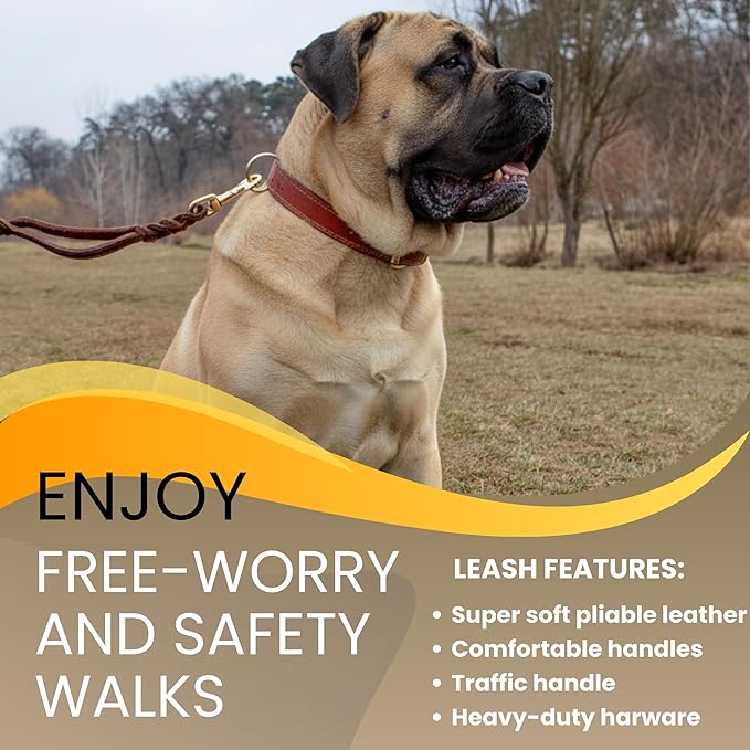 ADITYNA - Double Handle Leather Dog Leash 6ft - Heavy Duty Braided Dog Leash with Traffic Handle for Mastiff, Saint-Bernard, Rottweiler - Lead for Extra-Large Breeds (Brown, Two Handles 6 Foot x 1")
