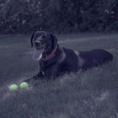 Chew King by Mammoth Glow-in-the-Dark Dog Fetch Balls (8-Pack), Lattice Rubber Balls for Night Play, High Bounce Fetch Toys, Rechargeable Under Any Light, Medium 2.5"