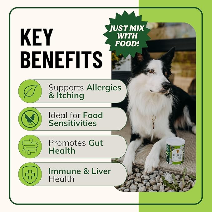 Fido's Herbal Allergy And Itch Relief For Dogs - No Fillers & Binders - 3.61oz Sensitive Stomach Dog Immune and Allergy Supplement - Best Itchy Skin Relief For Dogs from Pollen, Grass & Food Allergies