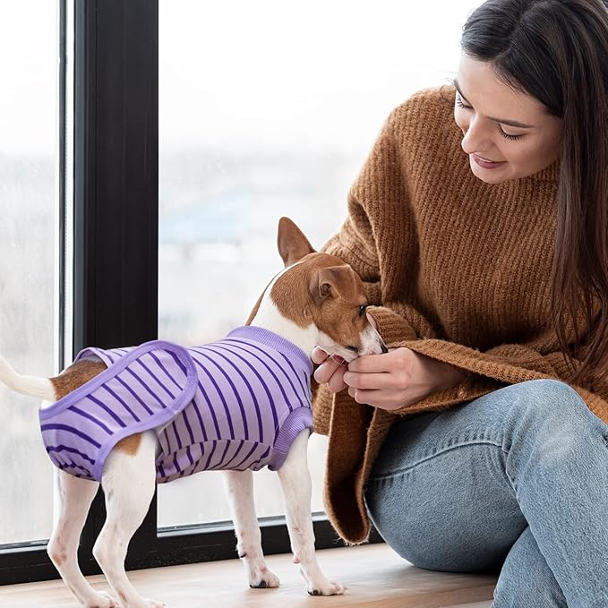 Dog Recovery Suit, Surgical Recovery Suit for Male Female Dogs Cats Spayed Onesie After Surgery, Dog Post Surgery Suit Anti Licking & Biting Surgical Shirt with Pee Hole，Purple X-Large