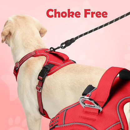 Funfox Dog Harness No Pull, Adjustable Pet Vest Harness, Super Soft Material with Vertical Handle Easy Control, Reflective Night Walking, 2 Leash Clips for Small Sized Dogs, Red, S