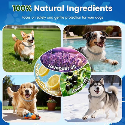 KOOSA Flea and Tick Collar for Dogs, 4 Packs Flea Collar for Dogs with Natural Essential Oils, Waterproof & Adjustable Flea and Tick Prevention Collar for Small Medium Large Dogs & Puppies, Grey