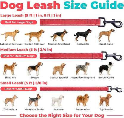 Best Pet Supplies Voyager Reflective Dog Leash or Collar with Neoprene Handle, for Small, Medium, and Large Breed Puppies, Cute and Heavy Duty for Walking, Running and Training - Red (Leash), M