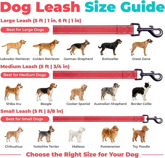 Best Pet Supplies Voyager Reflective Dog Leash or Collar with Neoprene Handle, for Small, Medium, and Large Breed Puppies, Cute and Heavy Duty for Walking, Running and Training - Red (Leash), L