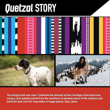 Wolfgang Heavy Duty Martingale Dog Collar with Quick Release Nylon Buckle for Walking & Training, Quetzal Print, Large