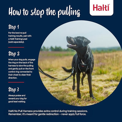 Halti No Pull Harness - Stop Your Dog Pulling on The Leash. Adjustable, Lightweight and Easy to Use. Reflective Dog Training Harness for Toy and Small Dogs (Size XS, Desert Sand)