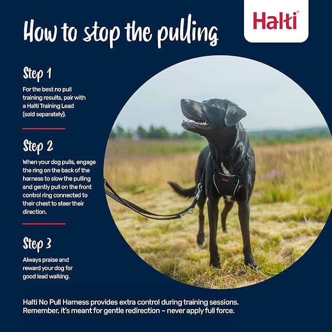 Halti No Pull Harness - Stop Your Dog Pulling on The Leash. Adjustable, Lightweight and Easy to Use. Reflective Dog Training Harness for Medium Dogs (Size M, Deep Walnut)