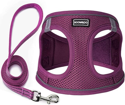 Dog Harness with Leash Set, No Pull Adjustable Reflective Step-in Puppy Pet Vest Harnesses for Small Medium Large Dogs and Cats,Cranberry S