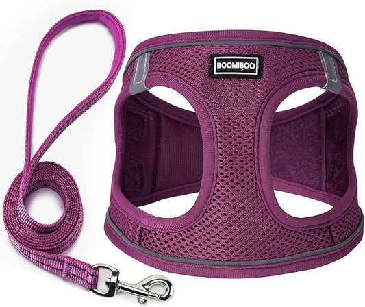 Dog Harness with Leash Set, No Pull Adjustable Reflective Step-in Puppy Pet Vest Harnesses for Small Medium Large Dogs and Cats,Cranberry L