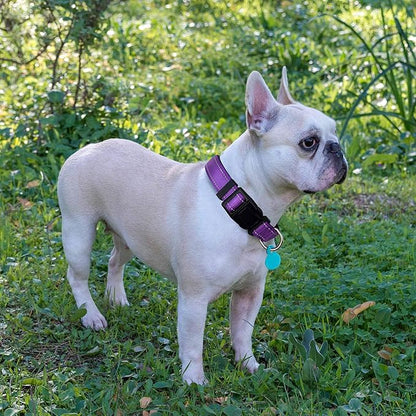 Ladoogo Reflective Dog Collar Padded with Soft Neoprene Breathable Adjustable Nylon Dog Collars for Small Medium Large Dogs (Large (Pack of 1), Purple Collar+Leash)