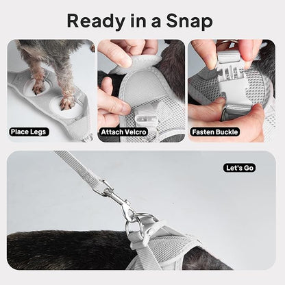 PetiFine Extra Small Step in Dog Harness and Leash Set, Cat Harness and Leash Escape Proof, All Weather Mesh Reflective, Step-in Air Vest Harnesses for Puppy(XXXS, Grey)