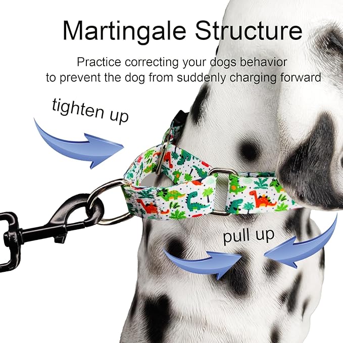 Martingale Dog Collars with Buckle No Pull Training Dog Collar for Small Dogs (Green Dinosaur, Small)