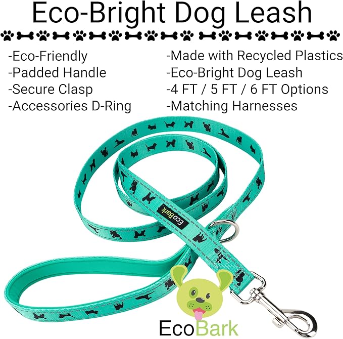 EcoBark Dog Leash - Soft & Reflective Comfort Leashes with Padded Handle - Safe, Strong, & Durable for Small, Medium or Large Dogs (Turquoise)