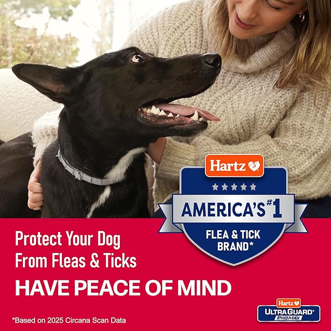 Hartz UltraGuard ProMax Flea & Tick Collar for Dogs I 12 Months Protection I Soft & Comfortable Flea & Tick Prevention I 2 Pack,Gray