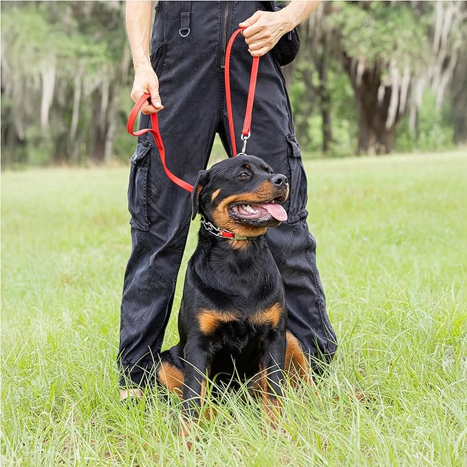 Herm Sprenger Chrome Plated Steel Dog Collar with Quick Release ClicLock Buckle O-Ring Biothane Insert Training Collar Made in Germany (Cherry Red, 22in x 3.0mm(Neck Size up to 18-19in))