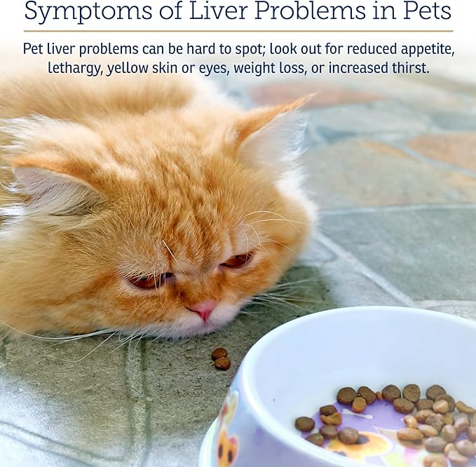 Rx Vitamins Hepato Support for Dogs & Cats - Liver Support Supplement with Milk Thistle - Boosts Liver Detox for Senior Pets - 90 ct