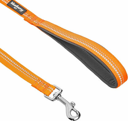 Blueberry Pet 3M Reflective Pastel Color Dog Leash with Soft & Comfortable Handle, 5 ft x 5/8", Orange Peel, Small, Leashes for Dogs