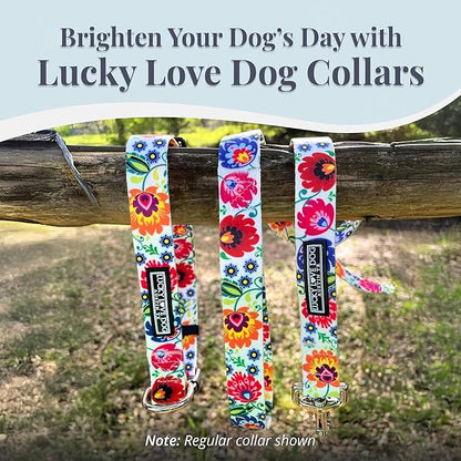 Lucky Love Dog Martingale Dog Collar - Adjustable, No-Slip, Durable, & Soft Webbing Collar for Male and Female Dogs Ideal for Training & Walking - Ladybird, Large