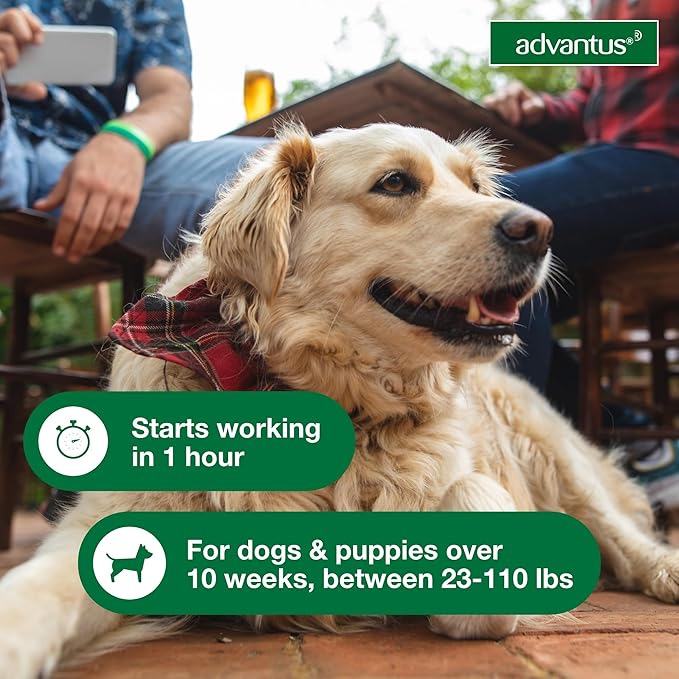 Advantus Dogs Fast Acting Oral Flea Treatment Soft Chewable 23 - 110 lbs. | 7 ct.