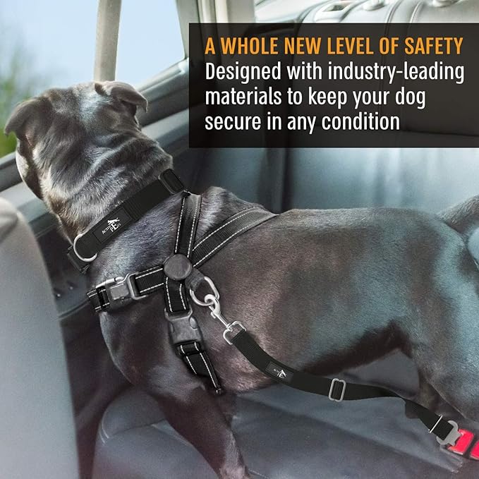 Active Pets Black Car Seat Belt for Dogs, Attaches to Harness & Collar, Adjustable 18" - 24" Travel Restraint System Fits Small - Large Pups for Safety & Comfort, Essential Pet Supplies & Accessories