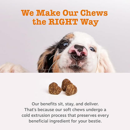 Zesty Paws Probiotics for Dogs - Digestive Enzymes for Gut Flora, Digestive Health, Diarrhea & Bowel Support - Clinically Studied DE111 - Dog Supplement for Pet Immune System – Pumpkin – Pack of 2