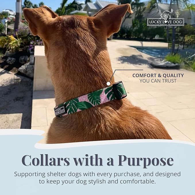 Lucky Love Dog Collars | Girl, boy Dog Collar for Small Medium Large Dogs - Comfortable, Soft, Cute - Laguna, Medium
