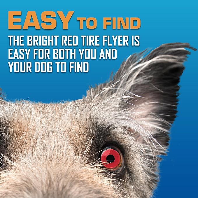 Nerf Dog Atomic Flyer Outdoor Dog Toy, 10 Inch Flying Disc Dog Fetch Toy, Rubber Dog Toy for Medium Dogs and Large Dogs, Red (Pack of 2)