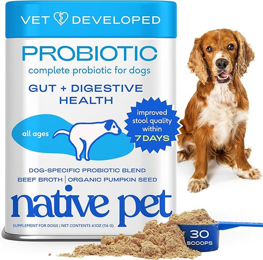 Native Pet Probiotics for Dogs – Dog Probiotic Powder for Gut & Digestive Health, Vet-Formulated 6B CFUs Dog-Specific Probiotic Strains, Supports Stool Quality & Diet Transitions – 30 Scoops