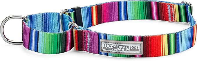 Lucky Love Dog Martingale Dog Collar - Adjustable, No-Slip, Durable, & Soft Webbing Collar for Male and Female Dogs Ideal for Training & Walking - Nacho, Medium