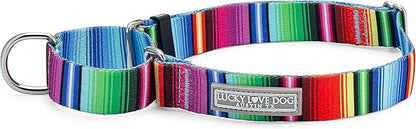 Lucky Love Dog Martingale Dog Collar - Adjustable, No-Slip, Durable, & Soft Webbing Collar for Male and Female Dogs Ideal for Training & Walking - Nacho, Large