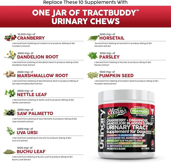 Clean Pets Cranberry for Dogs Urinary Tract Support | D-Mannose UTI Bladder Stones Dandelion Glucosamine HCL Marshmallow Nettle Leaf Saw Palmetto Uva Ursi Buchu Horsetail Methionine Parsley Supplement