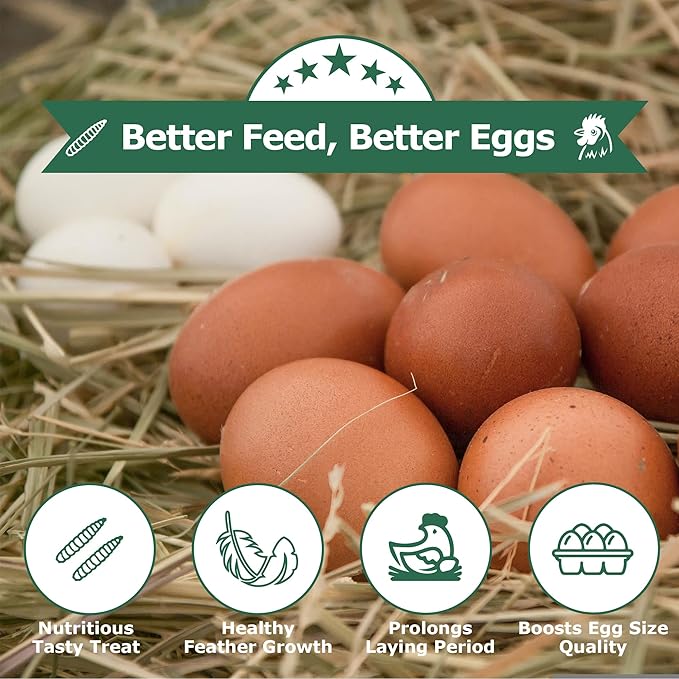 Dried Black Soldier Fly Larvae for Chickens - Non-GMO Poultry Feed Supplement, 85X More Calcium Than Mealworms,High-Protein Treats for Laying Hens & Ducks & Hedgehogs 5LB