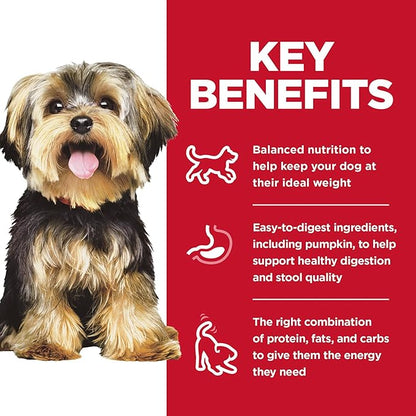 Hill's Science Diet Adult 1-6 Small & Mini Wet Dog Food, Beef & Vegetables, 3.5 oz. Trays, 12-Pack