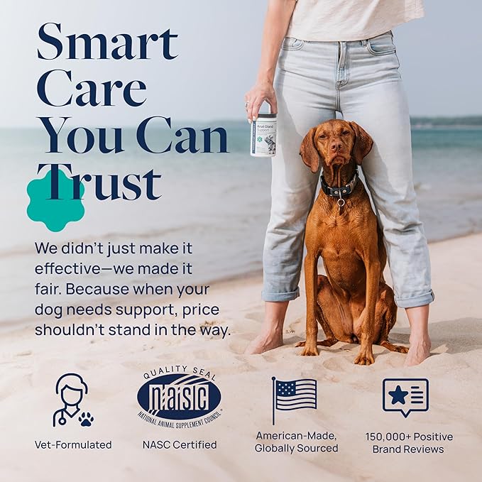 Veterinary Formula Anal Gland Support for Dogs – Vet-Formulated No Scoot Chews with Pumpkin, Ginger, Agave Inulin & Probiotics – Supports Scooting, Stool Quality & Digestive Health, 120 Soft Chews