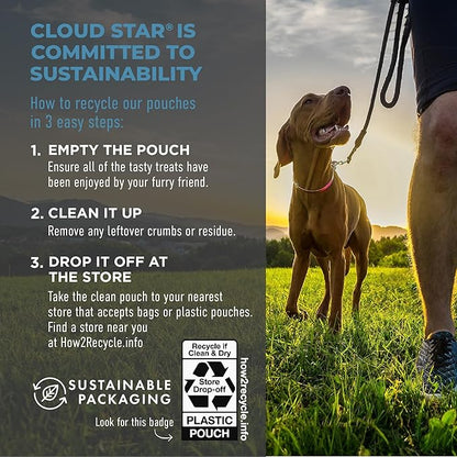 Cloud Star Tricky Trainers Chewy Dog Treats,Salmon,14 oz. Pouch,(Pack of 2)