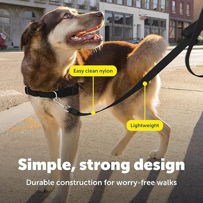 PetSafe Nylon Leash - Chew-Resistant Cat & Dog Behavioral Training Leash - Compatible with Easy-Walk Harness - Traditional-Style Reliable Pet Lead with a Padded Hand Wrap - 3/4" x 4' - Black