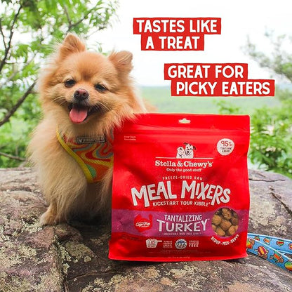 Stella & Chewy's Freeze-Dried Raw Tantalizing Turkey Meal Mixers- Dog Food Topper and Mixer - Made with 95% Cage-Free Turkey, Organs & Bone - Perfect for Picky Eaters - Grain-Free - 1 oz (Pack of 6)