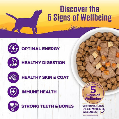 Wellness Complete Health Stew Adult Canned Wet Dog Food, Grain Free, Natural, Venison and Salmon Recipe, 12.5 oz, Pack of 12 Cans