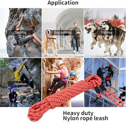 Long Dog Leash for Training 20Ft-Reflective Nylon Rope with Swivel Hook-Recall Agility Lead for Large Small Medium Dogs Outside Walking Hiking-Orange Diam 1/2"