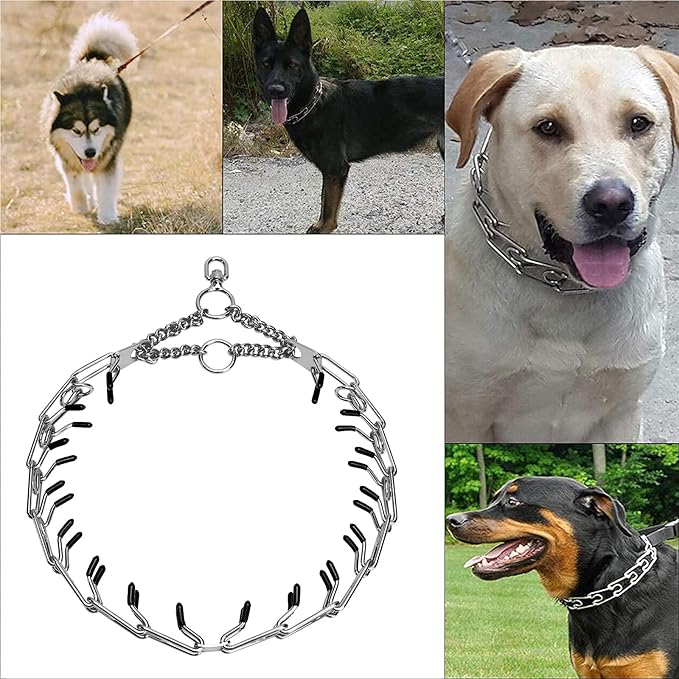 Stainless Steel Prong Pinch Collar for Dogs, Adjustable Training Collar with Quick Release Buckle for Small Medium Large Dogs (Silver, 22")