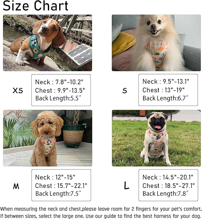 Dog Harness and Leash Set, Adjustable Dog Harness, Dog Leash, No Pull No Choke Puppy Harnesses for Walking Training for Small, Medium Pet (Little Love, S(Chest 14-19.6", Neck 10.6-13"))
