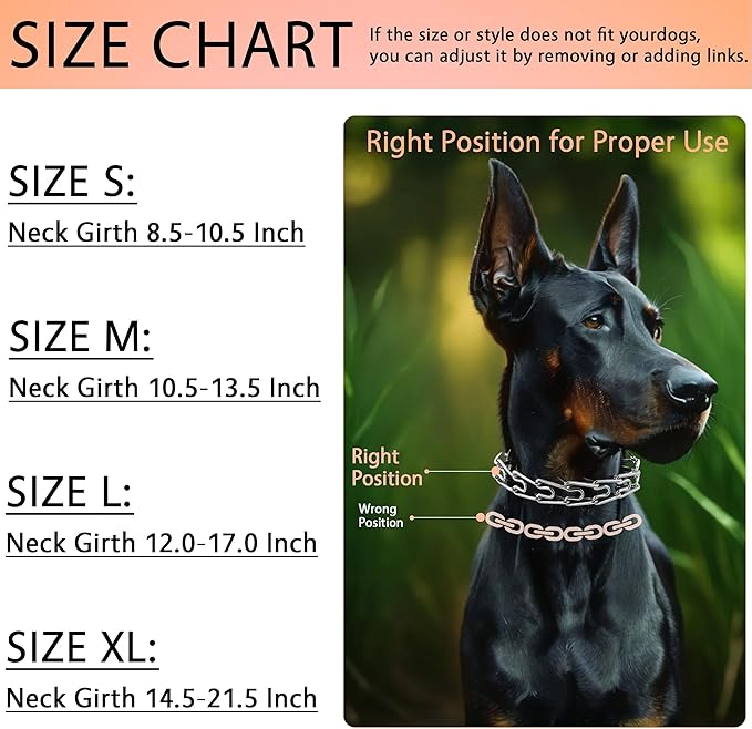 DEYACE Stainless Steel Dog Training Collar, Quick Release Buckle, Adjustable Collar for Neck Girth 10.5"-13.5" Medium Dogs