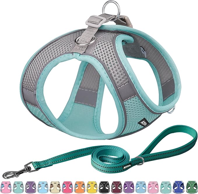 AIITLE Small Harness for Puppy with A Leash - Dog Vest Harness with Super Breathable Mesh, Reflective No-Pull Pet Harness for Outdoor Walking, Running for Small Dogs, Cats Turquoise XXS