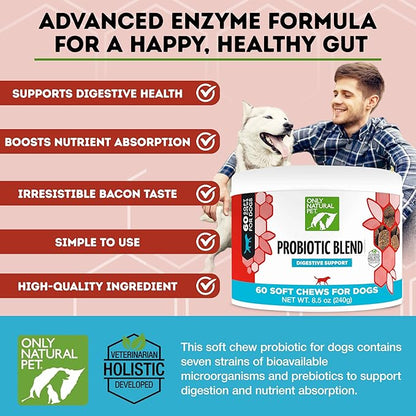 Only Natural Pet Probiotic Dog and Cat Supplement - Digestive & Gut Health Enzyme Formula, Puppy & Canine Digestive Chews, Best for Stomach Relief & Gas Aid - Soft Chews, 60 Count.