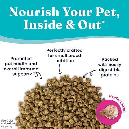 Solid Gold Toy & Small Breed Dry Dog Food Small Bites – Real Beef, Grain Free, Gluten Free, High Fiber Kibble with Probiotics for Gut Health & Digestion Support – Healthy Dog Food All Ages – 4LB
